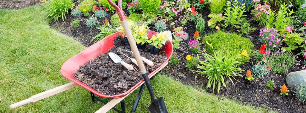 Beplantning og havebede